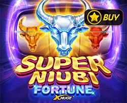 Super Niubi Fortune X-Huge - CAMPSLOT138