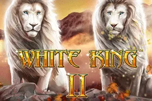 White King II - CAMPSLOT138