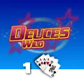 Deuces Wild 1 Hand - CAMPSLOT138