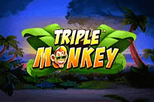 Triple Monkey - CAMPSLOT138