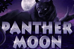Panther Moon - CAMPSLOT138