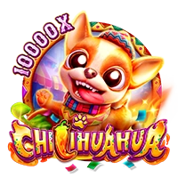 Facai : CHILIHUAHUA - CAMPSLOT138