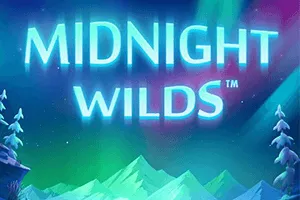 Midnight Wilds - CAMPSLOT138