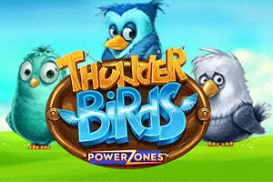 Power Zones: Thunder Birds - CAMPSLOT138