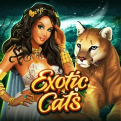 Exotic Cats - CAMPSLOT138