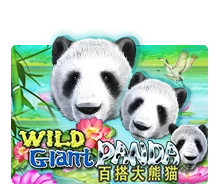 Joker123 : Wild Giant Panda - CAMPSLOT138