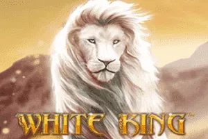 White King - CAMPSLOT138