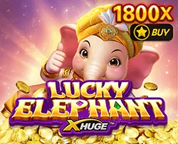 Lucky Elephant X-Huge - CAMPSLOT138