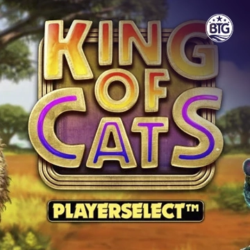 King of Cats - CAMPSLOT138