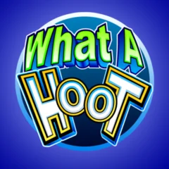 What A Hoot - CAMPSLOT138