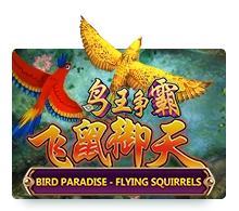 Bird Paradise - CAMPSLOT138