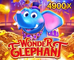 Wonder Elephant - CAMPSLOT138