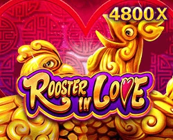Rooster In Love - CAMPSLOT138