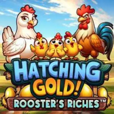 Hatching Gold! Roosters Riches - CAMPSLOT138