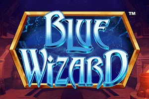 Blue Wizard - CAMPSLOT138
