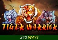 Spadegaming : Tiger Warrior - CAMPSLOT138