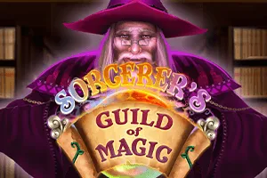 Sorcerers Guild of Magic - CAMPSLOT138