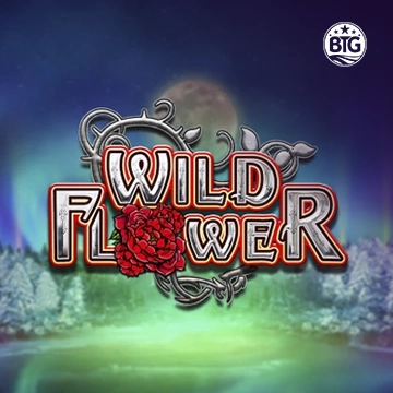 Wild Flower - CAMPSLOT138