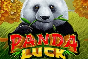Panda Luck - CAMPSLOT138