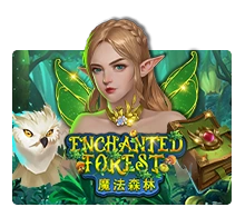 Joker123 : Enchanted Forest - CAMPSLOT138