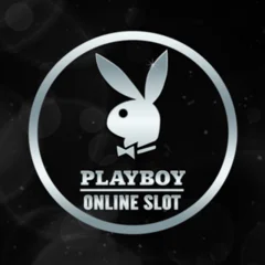 Playboy - CAMPSLOT138