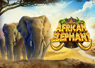 Pragmatic : African Elephant - CAMPSLOT138